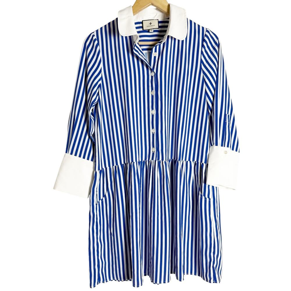 Tuckernuck Hayes Blue White Stripe Drop Waist Button Front Collared Shirt Dress